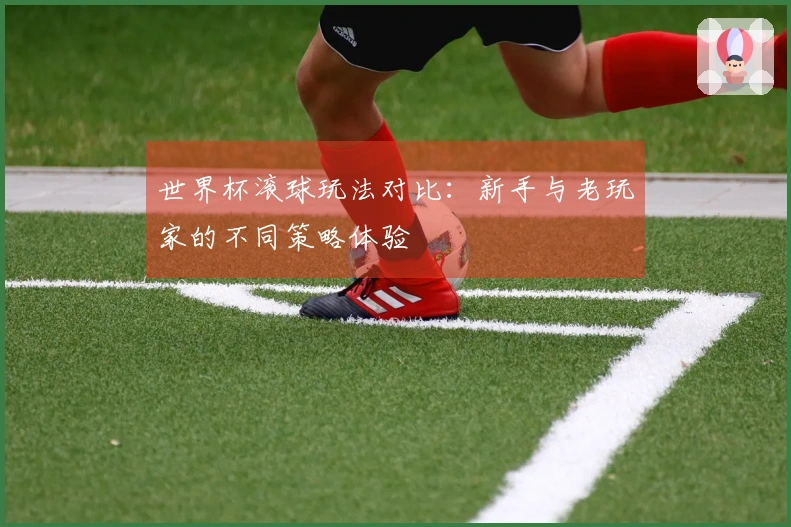 世界杯滚球玩法对比：新手与老玩家的不同策略体验