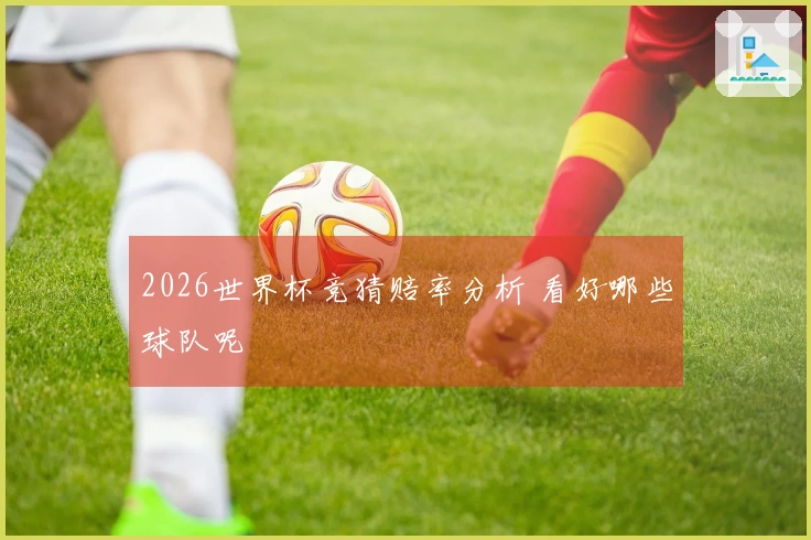 2026世界杯竞猜赔率分析 看好哪些球队呢