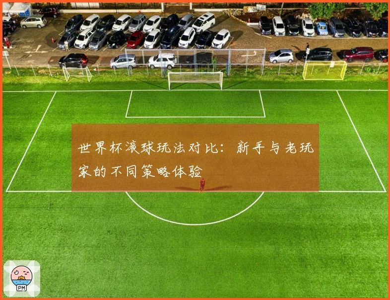 世界杯滚球玩法对比:新手与老玩家的不同策略体验