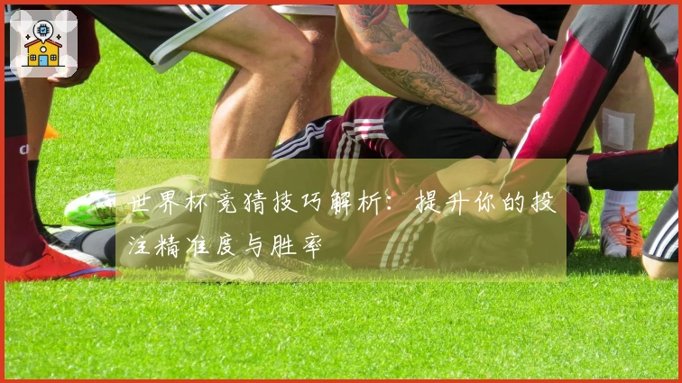 世界杯竞猜技巧解析：提升你的投注精准度与胜率