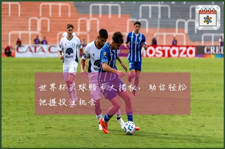 世界杯买球赔率大揭秘，助你轻松把握投注机会