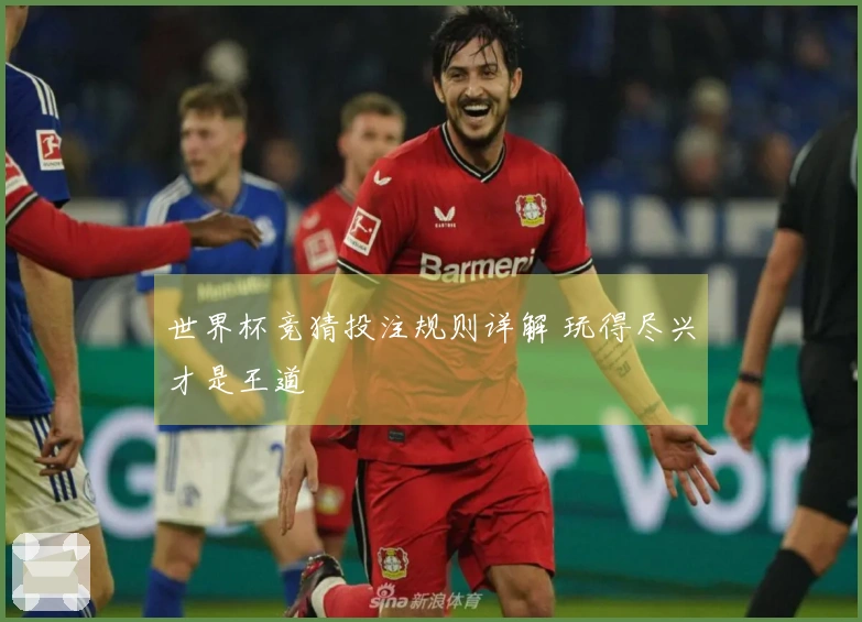 世界杯竞猜投注规则详解 玩得尽兴才是王道