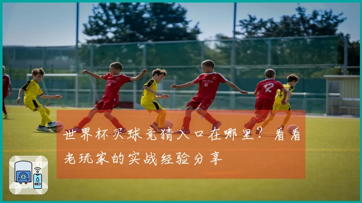 世界杯买球竞猜入口在哪里？看看老玩家的实战经验分享