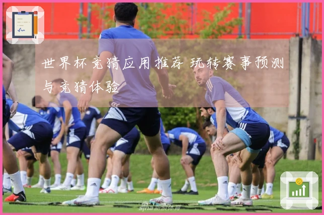 世界杯竞猜应用推荐 玩转赛事预测与竞猜体验