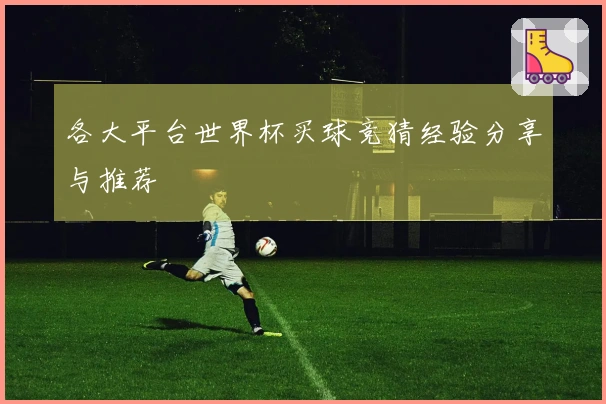 各大平台世界杯买球竞猜经验分享与推荐