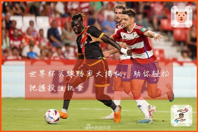 世界杯买球赔率大揭秘，助你轻松把握投注机会