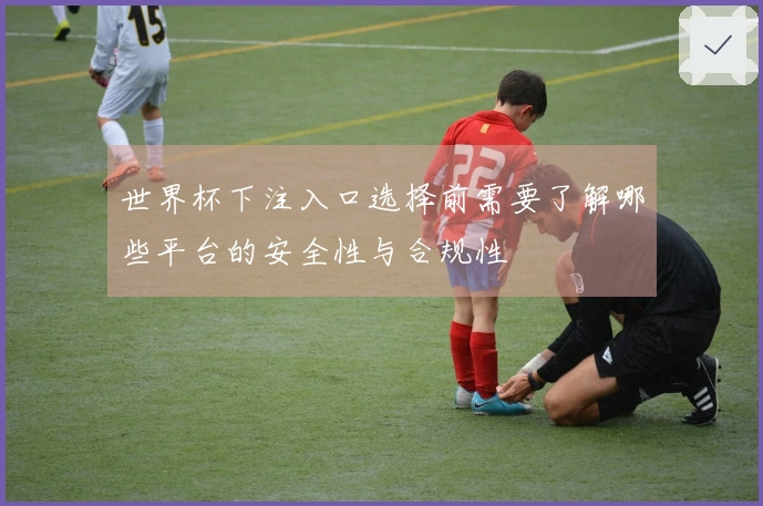 世界杯下注入口选择前需要了解哪些平台的安全性与合规性