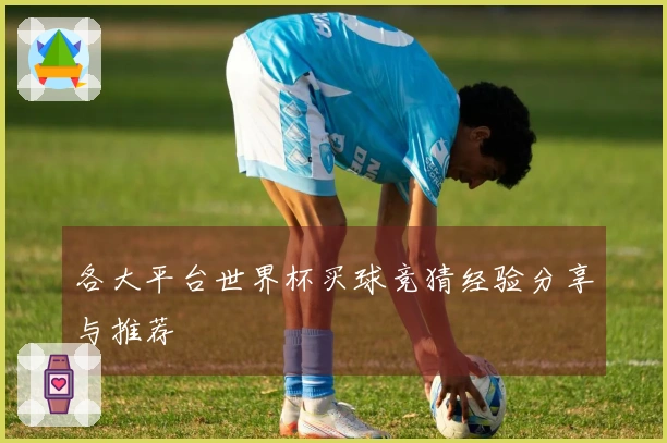 各大平台世界杯买球竞猜经验分享与推荐