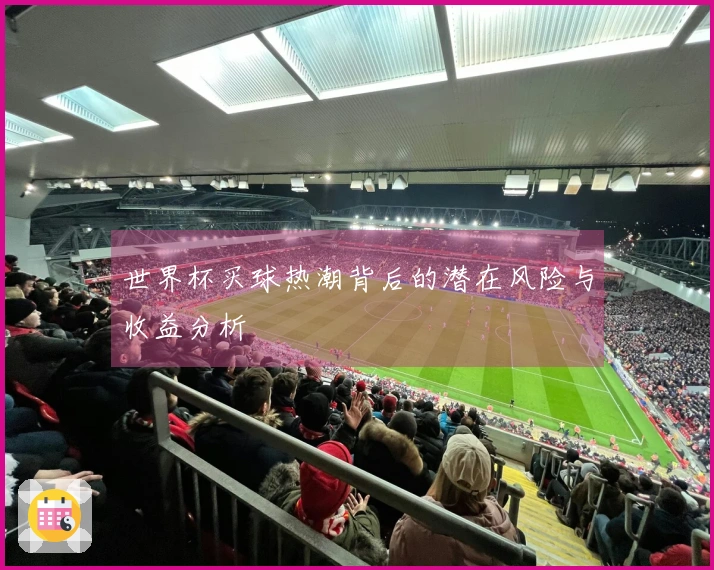 世界杯买球热潮背后的潜在风险与收益分析