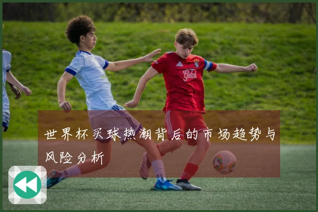 世界杯买球热潮背后的市场趋势与风险分析