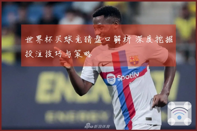 世界杯买球竞猜盘口解析 深度挖掘投注技巧与策略