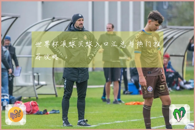 世界杯滚球买球入口汇总与热门推荐攻略