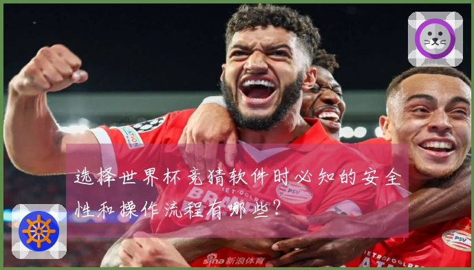 选择世界杯竞猜软件时必知的安全性和操作流程有哪些？