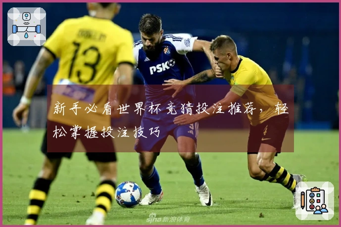 新手必看世界杯竞猜投注推荐，轻松掌握投注技巧