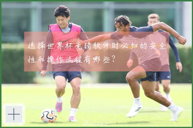 选择世界杯竞猜软件时必知的安全性和操作流程有哪些？