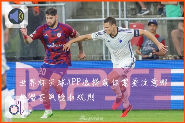 世界杯买球APP选择前你需要注意哪些潜在风险和规则