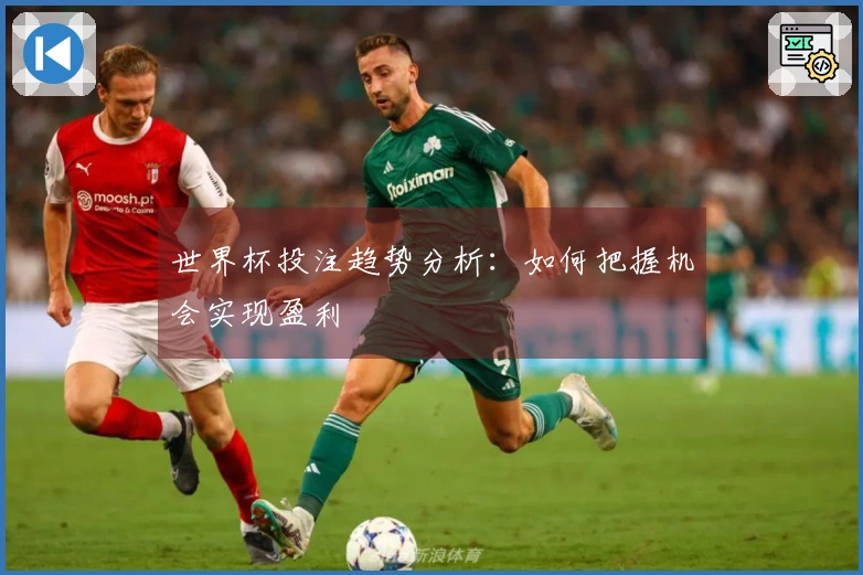 世界杯投注趋势分析：如何把握机会实现盈利